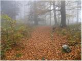 Spodnje Stranice (graves of hundred hostages) - Stolpnik